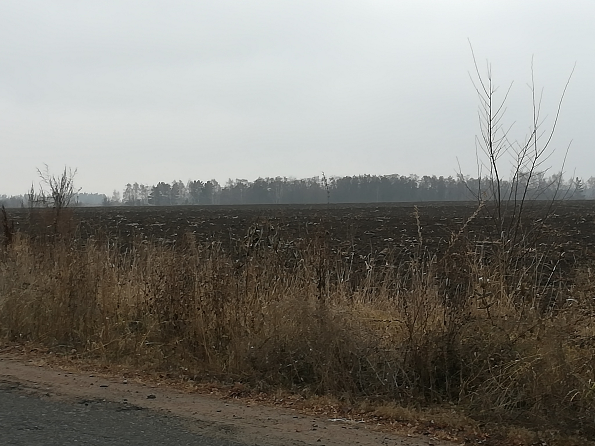 Продаж ділянки під фермерське господарство 900 соток