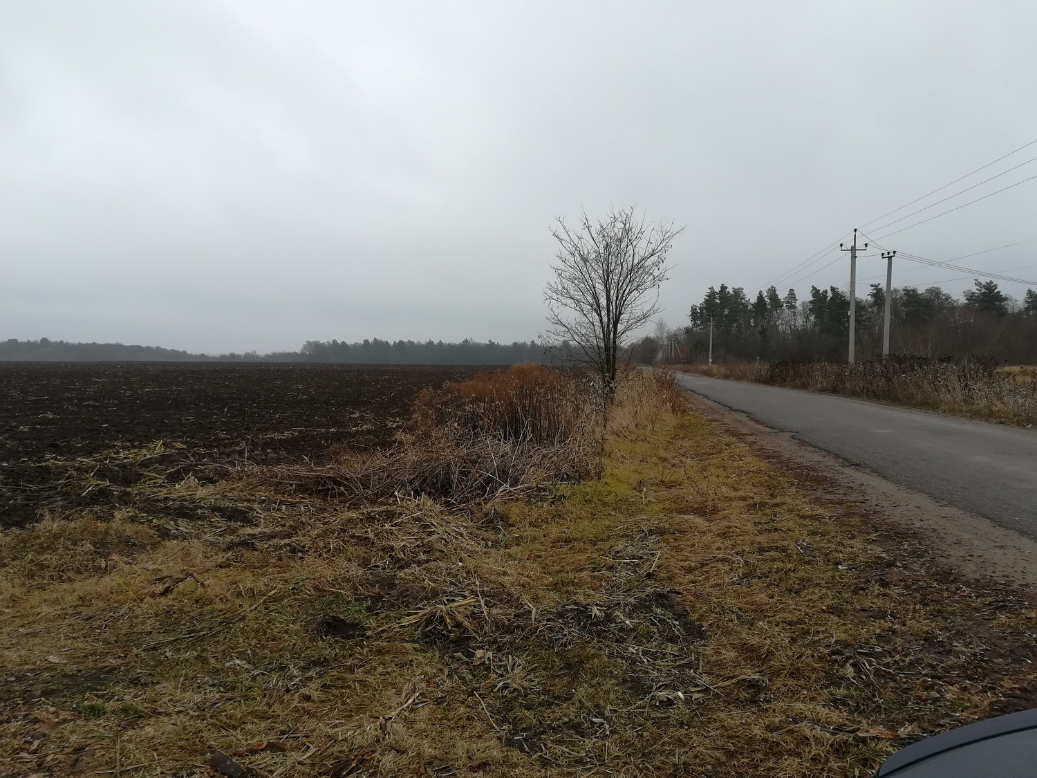 Продаж ділянки під фермерське господарство 900 соток