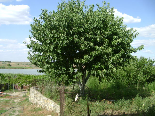 Продажа дома 236 м²
