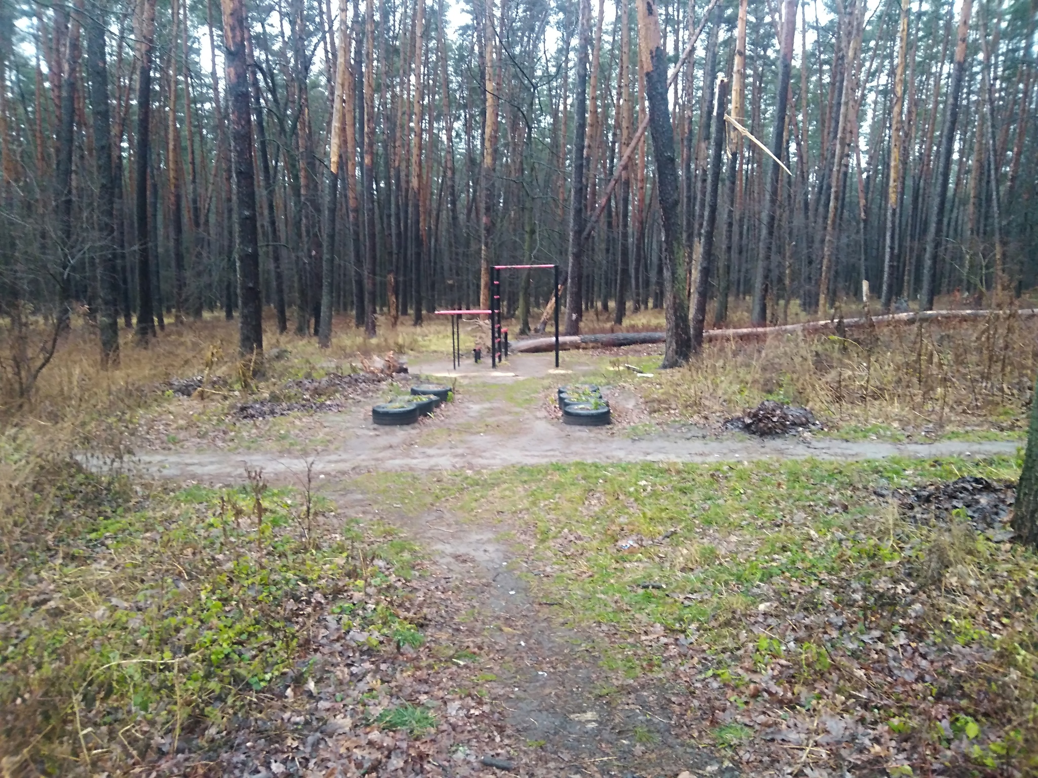 Продаж ділянки під індивідуальне житлове будівництво 6.5 соток, Синьоозерна вул., фасад с видом на лес ; 6,5 сот. +4 сотки !