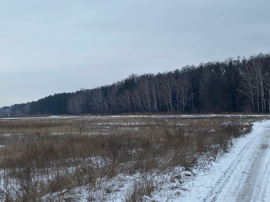 Продаж ділянки під фермерське господарство 2500 соток