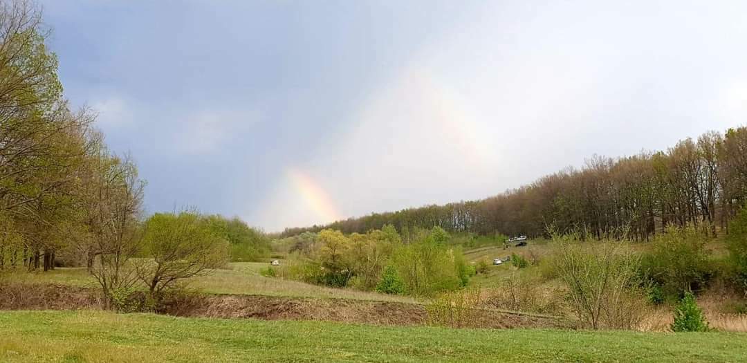 Продажа дома 289 м²