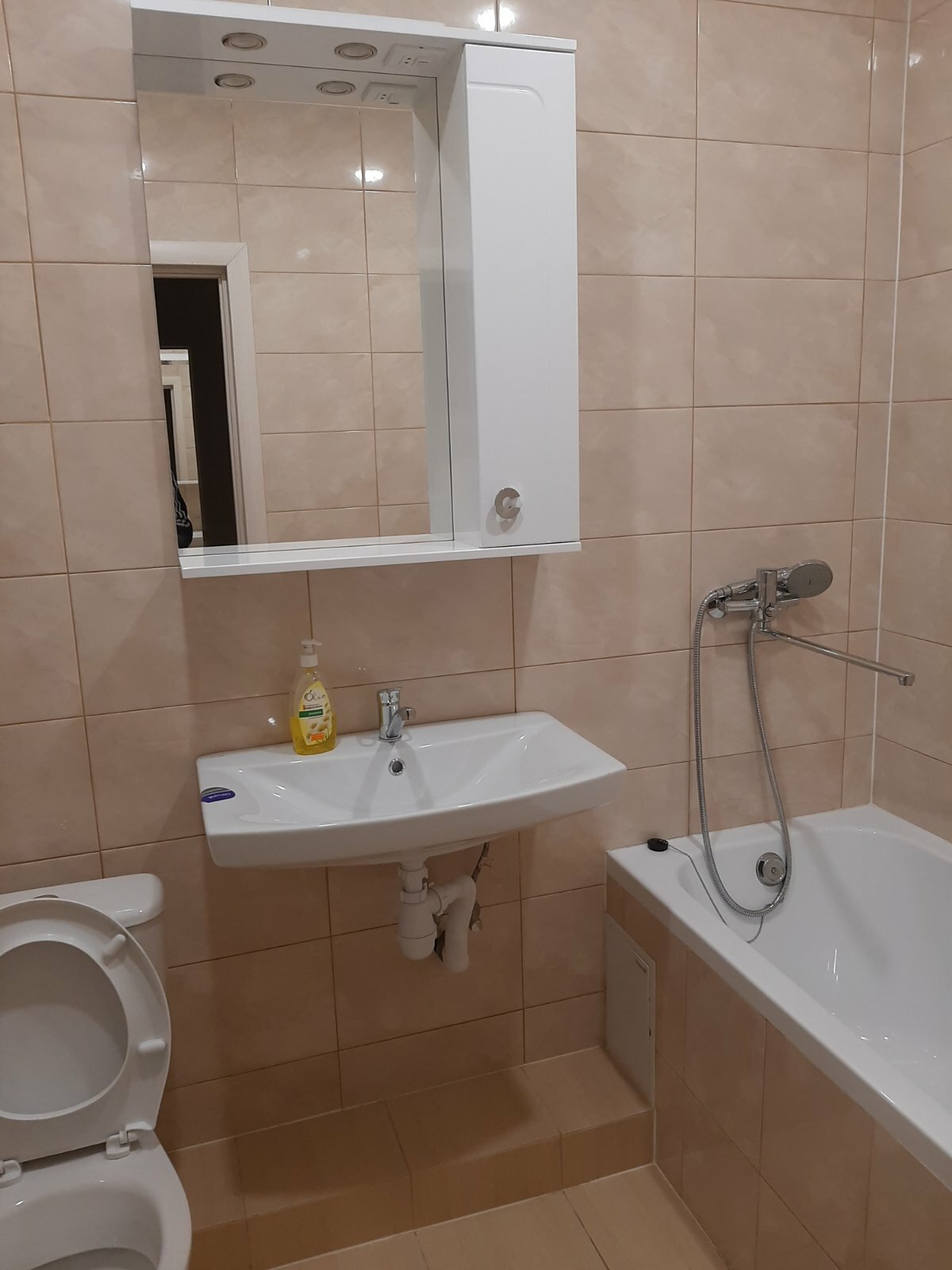 Оренда 1-кімнатної квартири 30 м², Олевська вул.