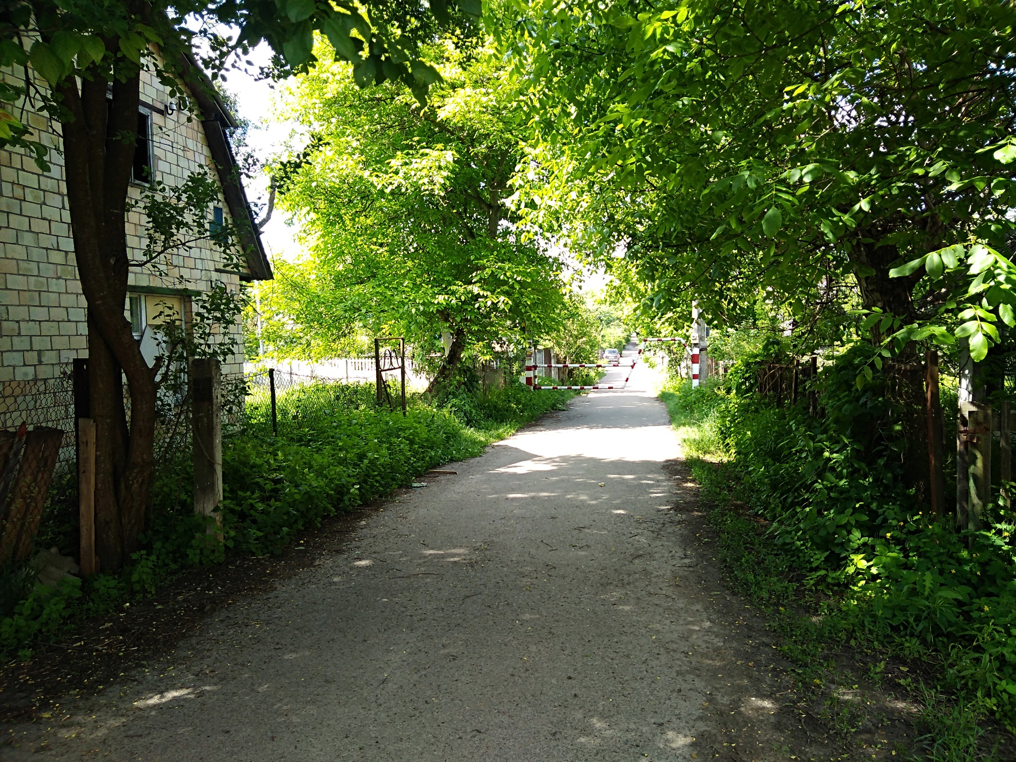 Продажа участка под индивидуальное жилое строительство 6 соток, Академика Палладина просп.