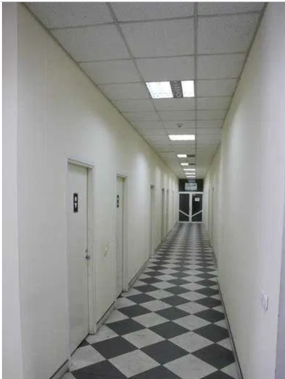 Аренда офиса 250 м², Приморская ул.
