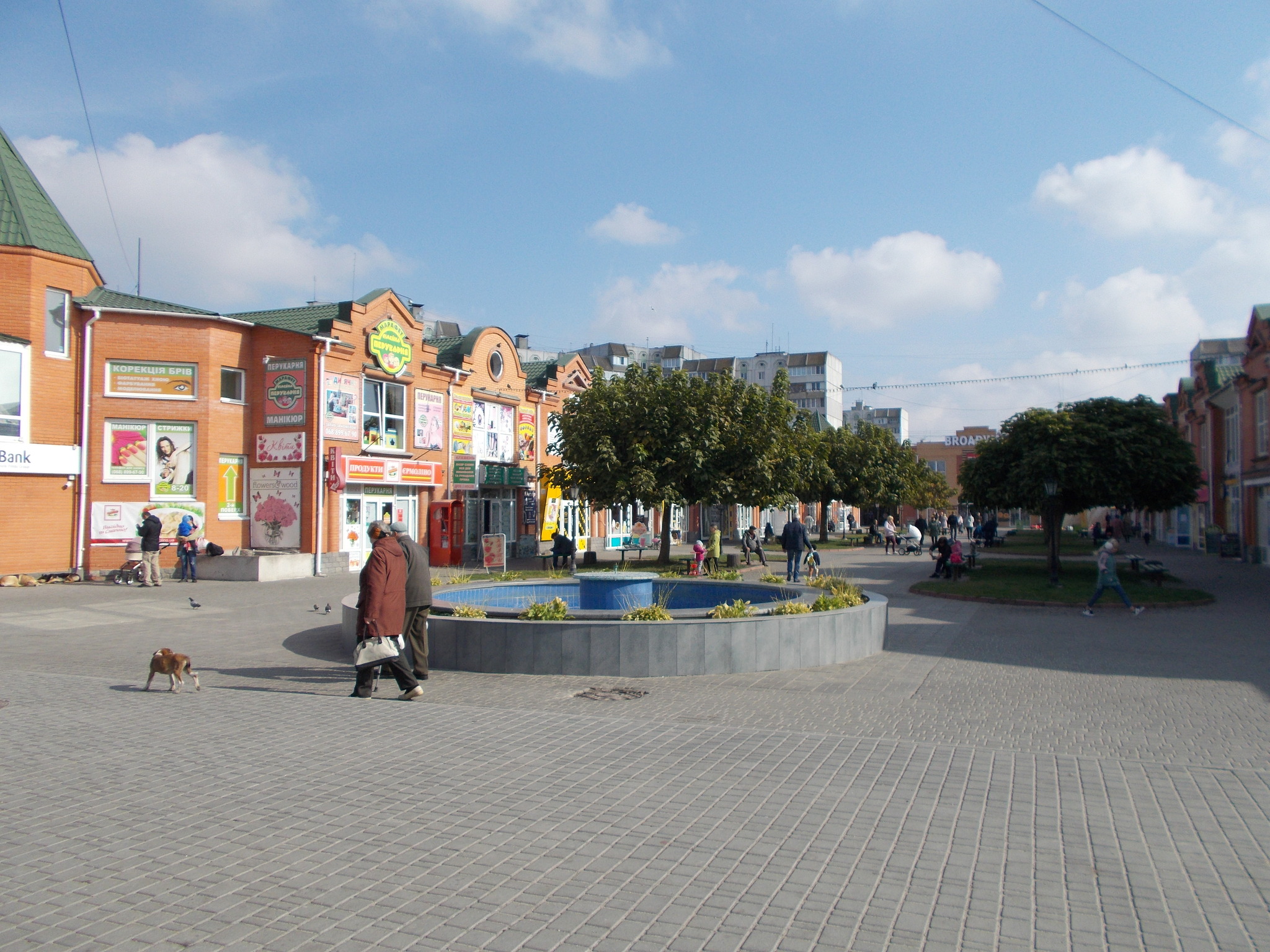 Оренда торговельного приміщення 109 м², Таращанська вул., 191