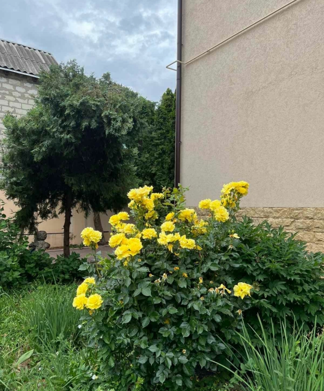 Оренда будинку 360 м², Куприна вул., 30