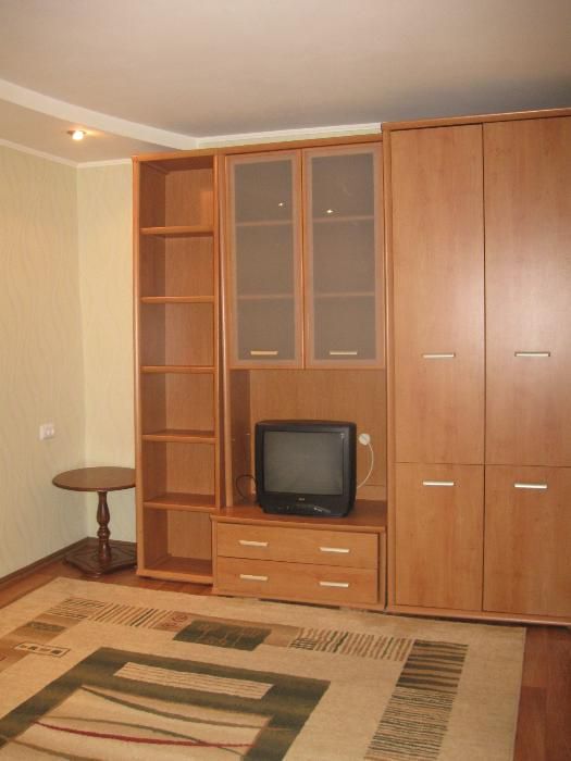 Оренда 1-кімнатної квартири 45 м², Крутогорна вул.