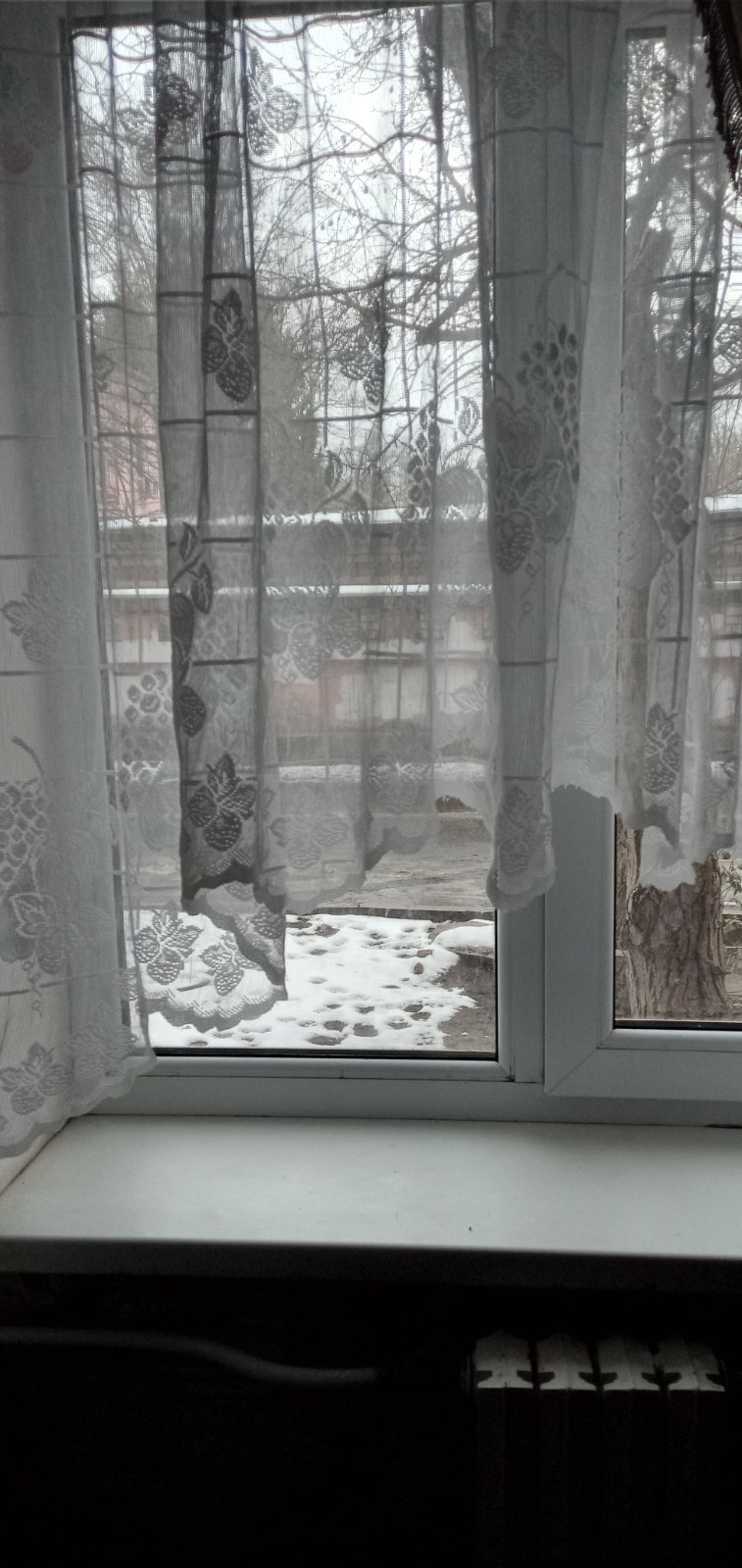 Аренда 1-комнатной квартиры 31 м², Олега Кошевого ул.