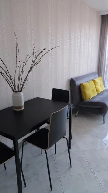 Оренда 1-кімнатної квартири 48 м², Василя Касіяна вул., Липківського 16b