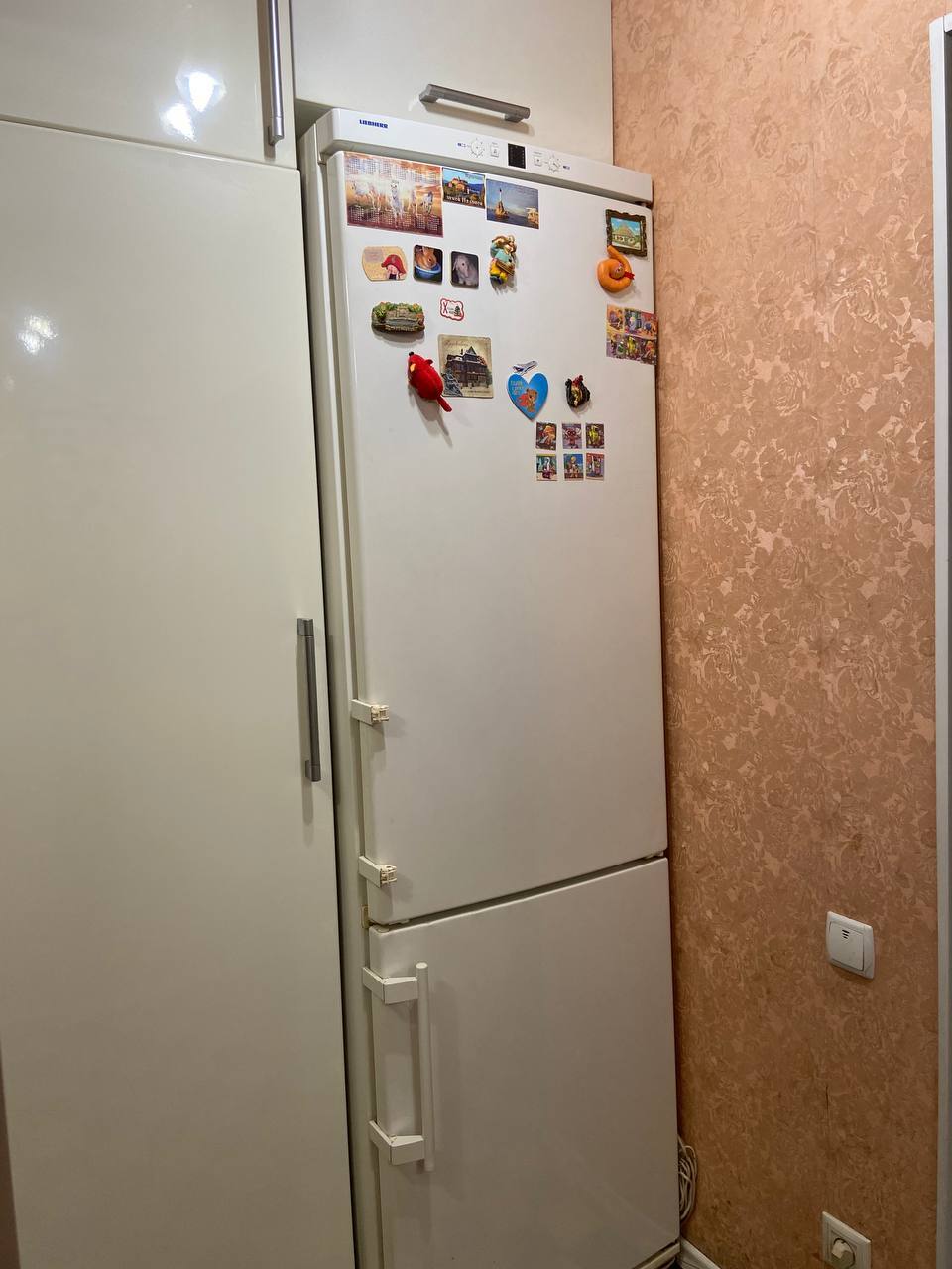 Аренда 2-комнатной квартиры 55 м², Гагарина просп.