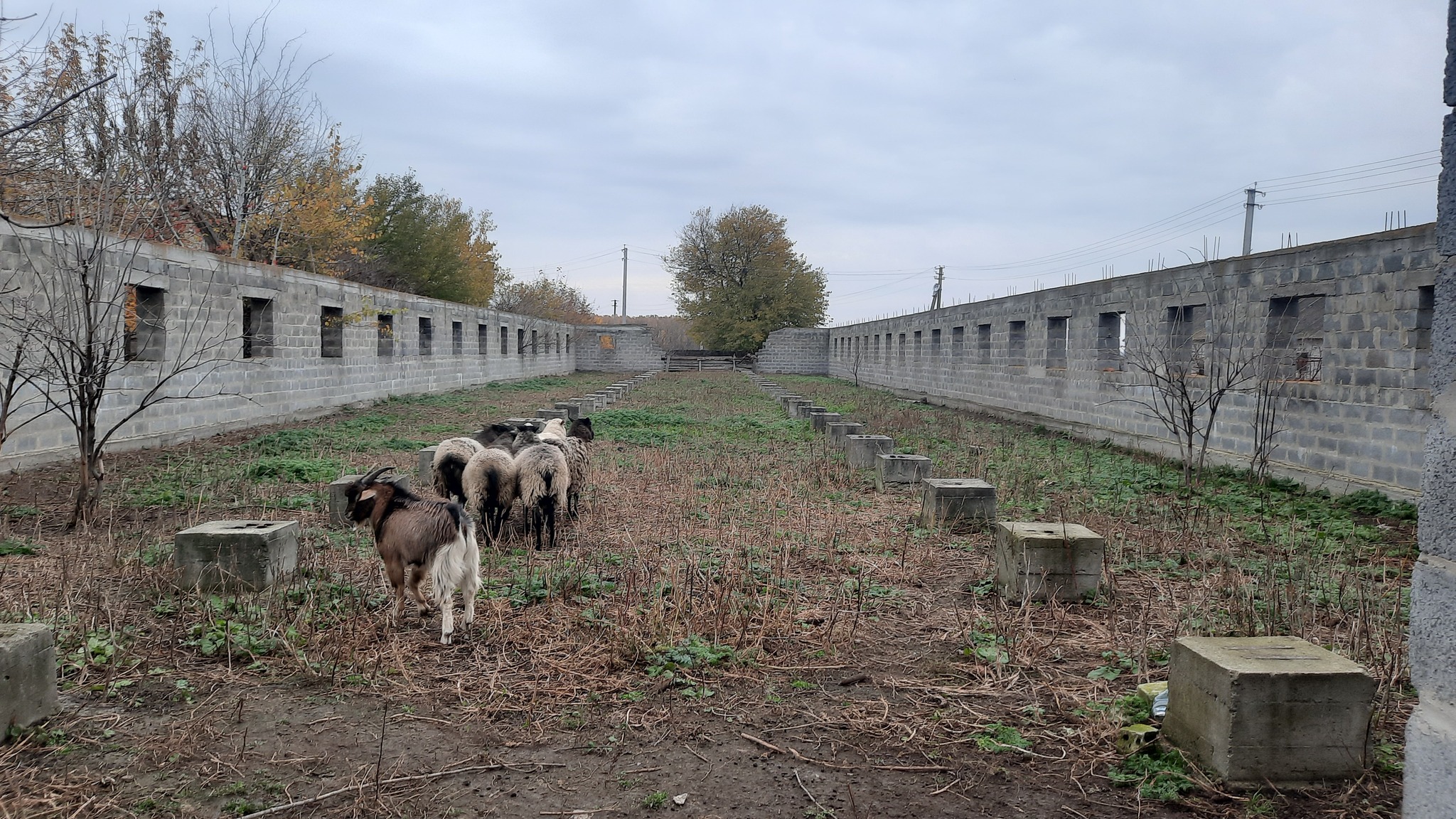 Продаж комерції 3000 м²