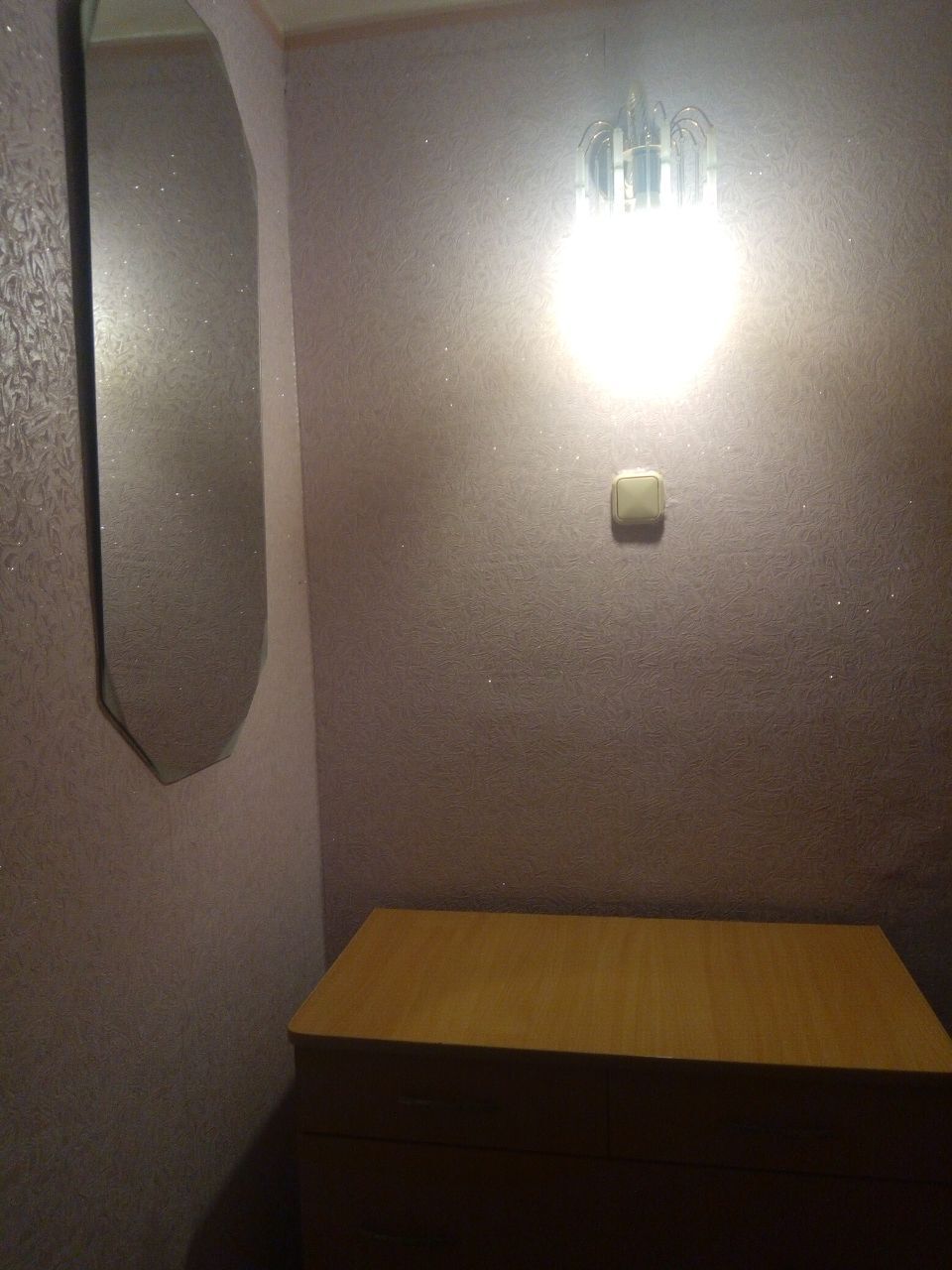 Оренда 1-кімнатної квартири 30 м², Академіка Белецького вул., 9
