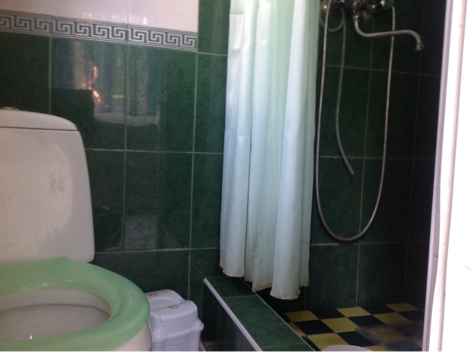 Дом посуточно 30 м², Свободы просп., 94