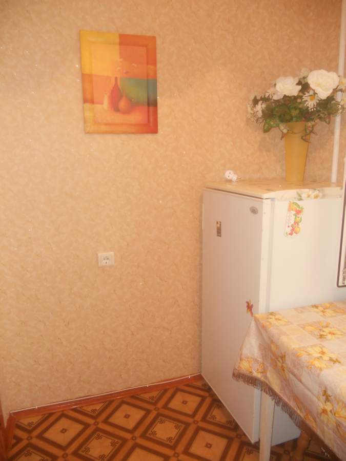 Оренда 1-кімнатної квартири 30 м², Данила Щербаківського вул., 53