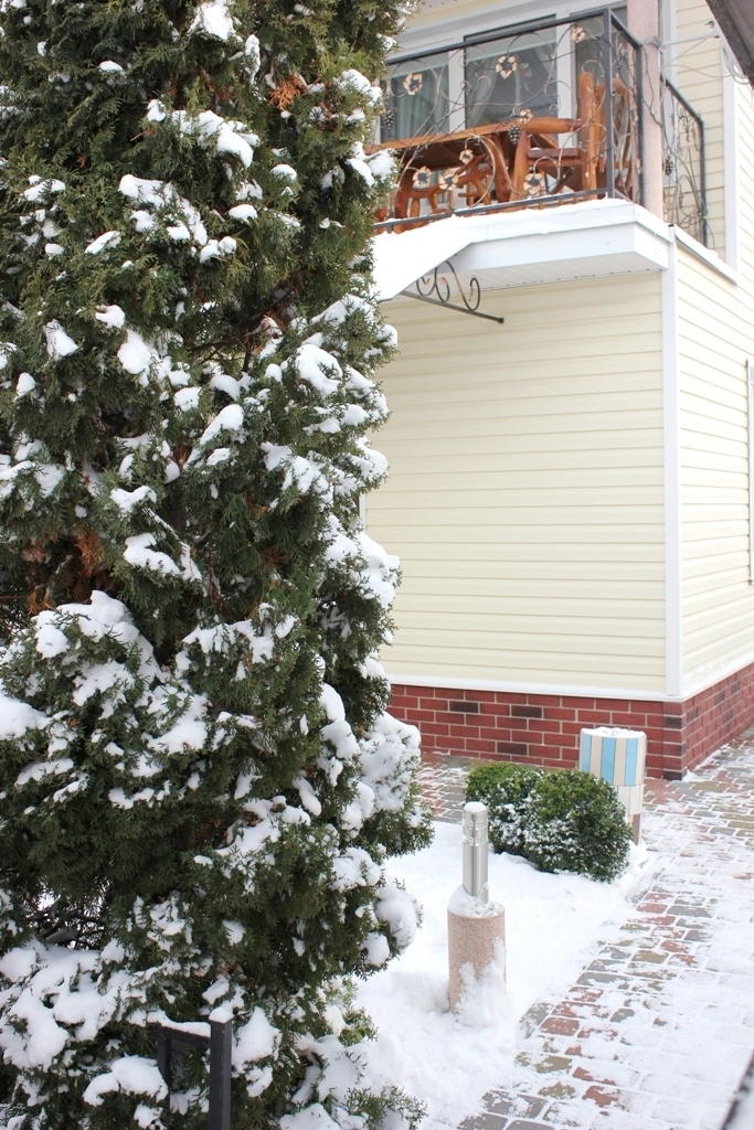 Дом посуточно 96 м², Киевская ул.