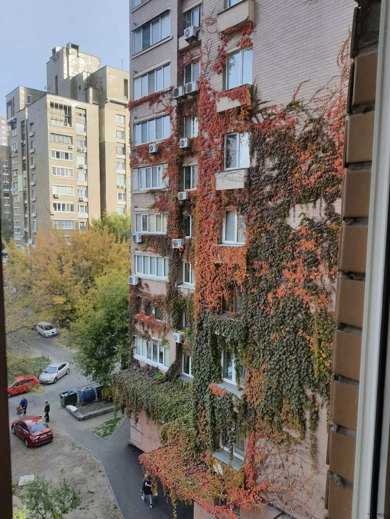 Затишна і охайна квартира на Антоновича .