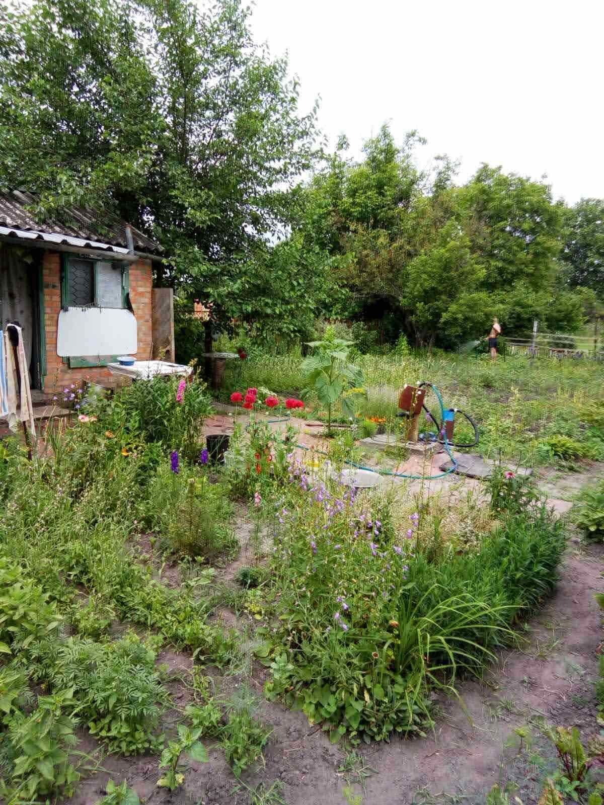 Продаж дачі 20 м²