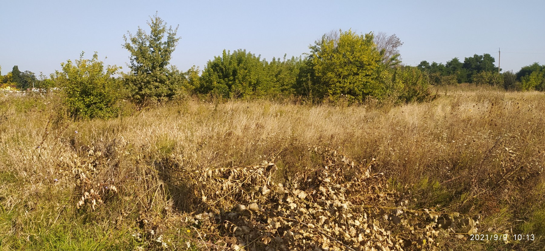 Продаж ділянки під індивідуальне житлове будівництво 24.5 соток, Парниковая