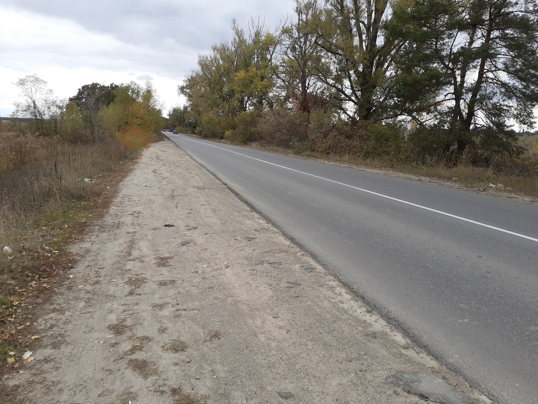 Продаж ділянки під інвестиційний проєкт 150 соток, Білогородська вул.