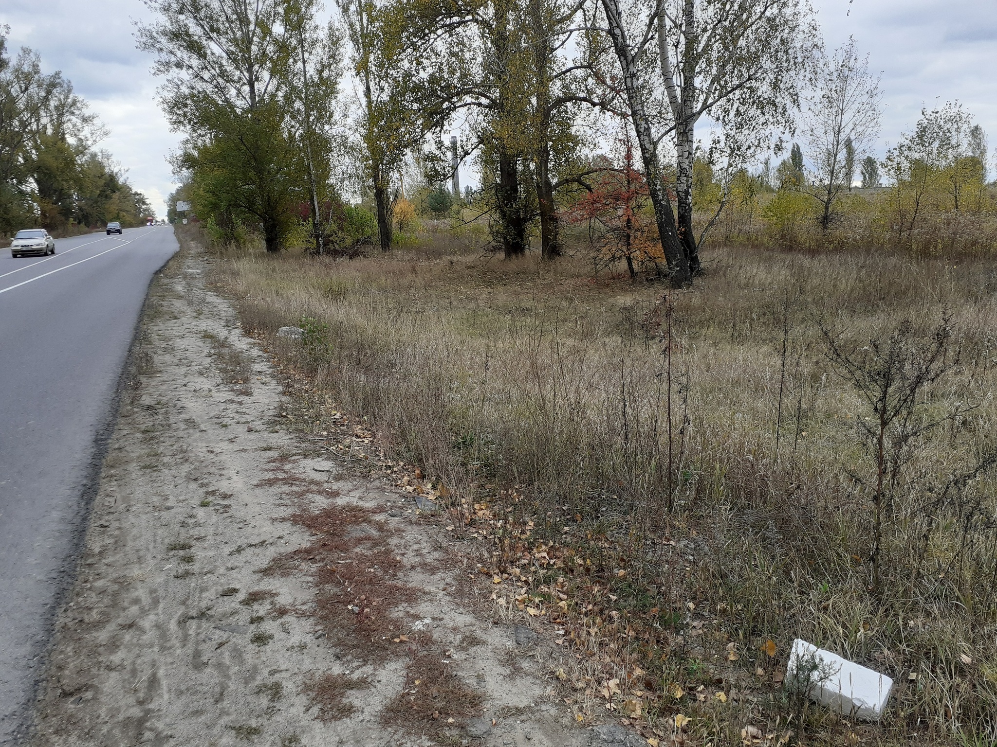 Продаж ділянки під інвестиційний проєкт 150 соток, Білогородська вул.