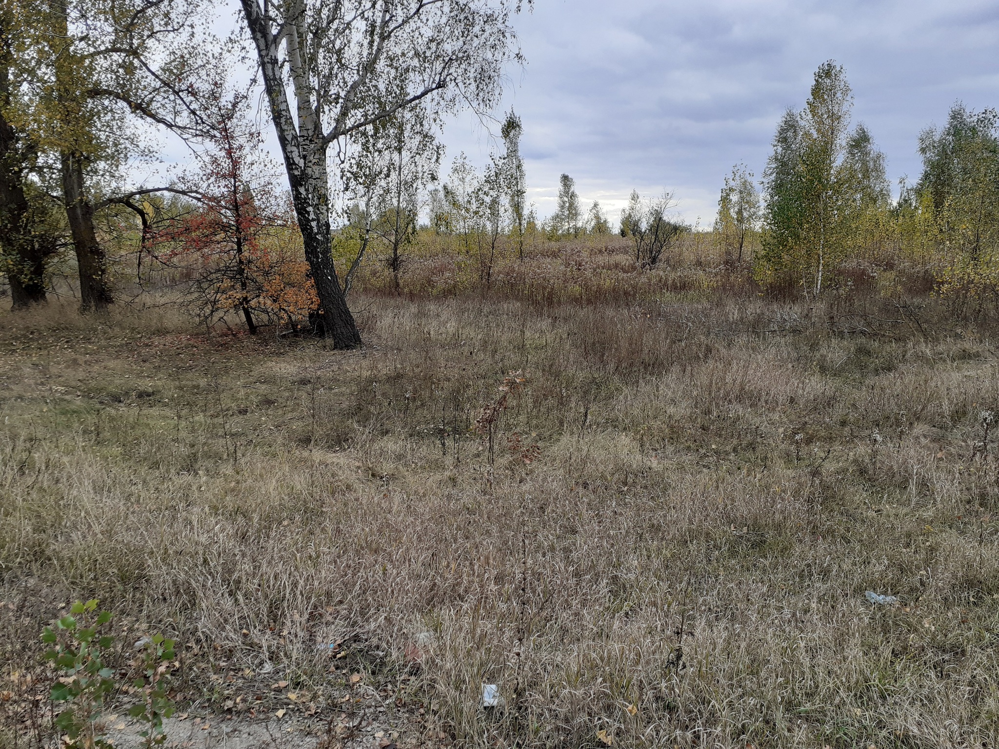 Продаж ділянки під інвестиційний проєкт 150 соток, Білогородська вул.