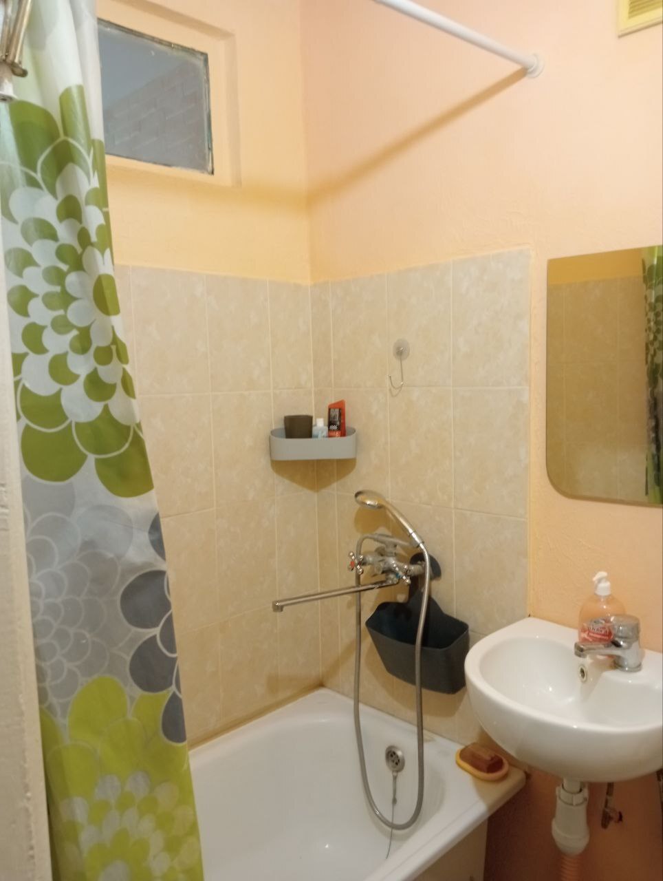 Аренда 1-комнатной квартиры 30 м², Петропавловская ул., 13/8