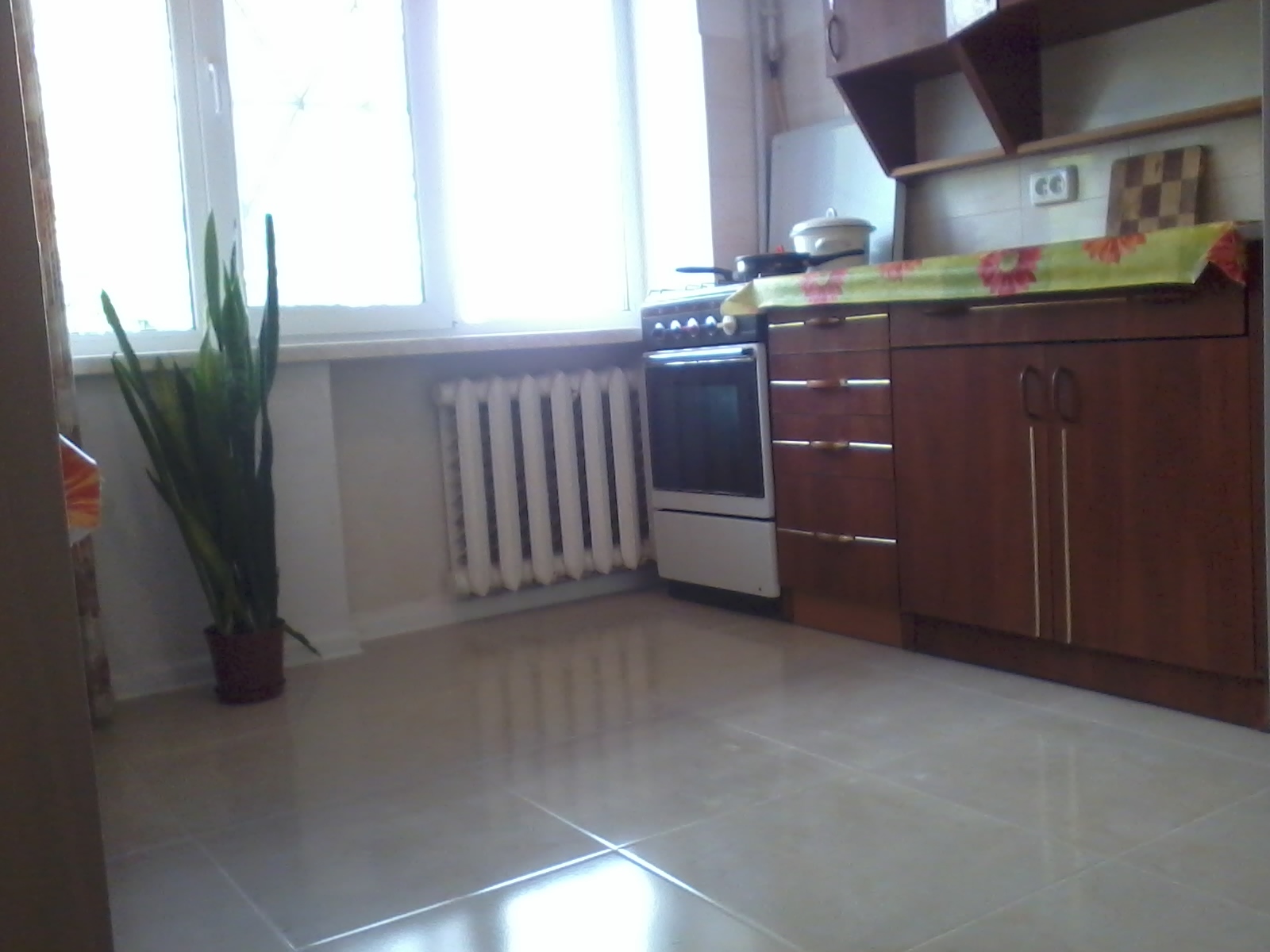 2-комнатная квартира посуточно 55 м², Шевченко просп.