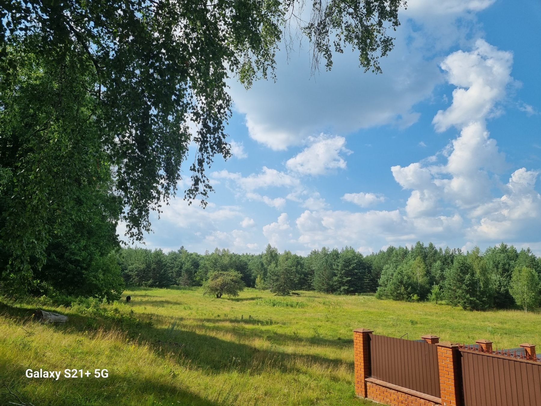 Продаж ділянки під індивідуальне житлове будівництво 24 соток