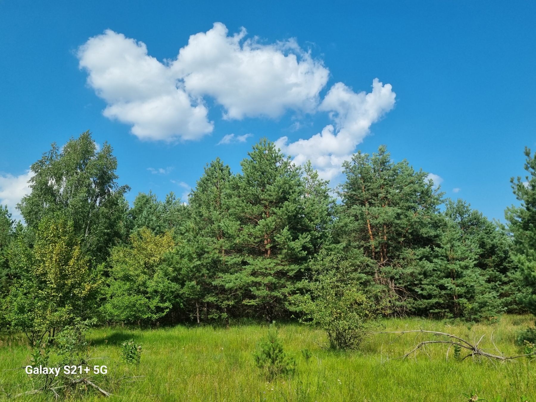 Продаж ділянки під індивідуальне житлове будівництво 24 соток