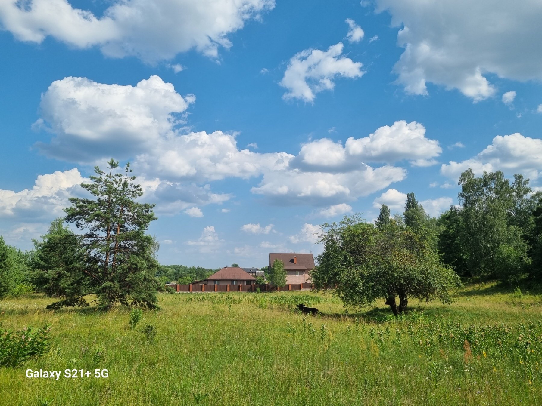 Продаж ділянки під індивідуальне житлове будівництво 24 соток