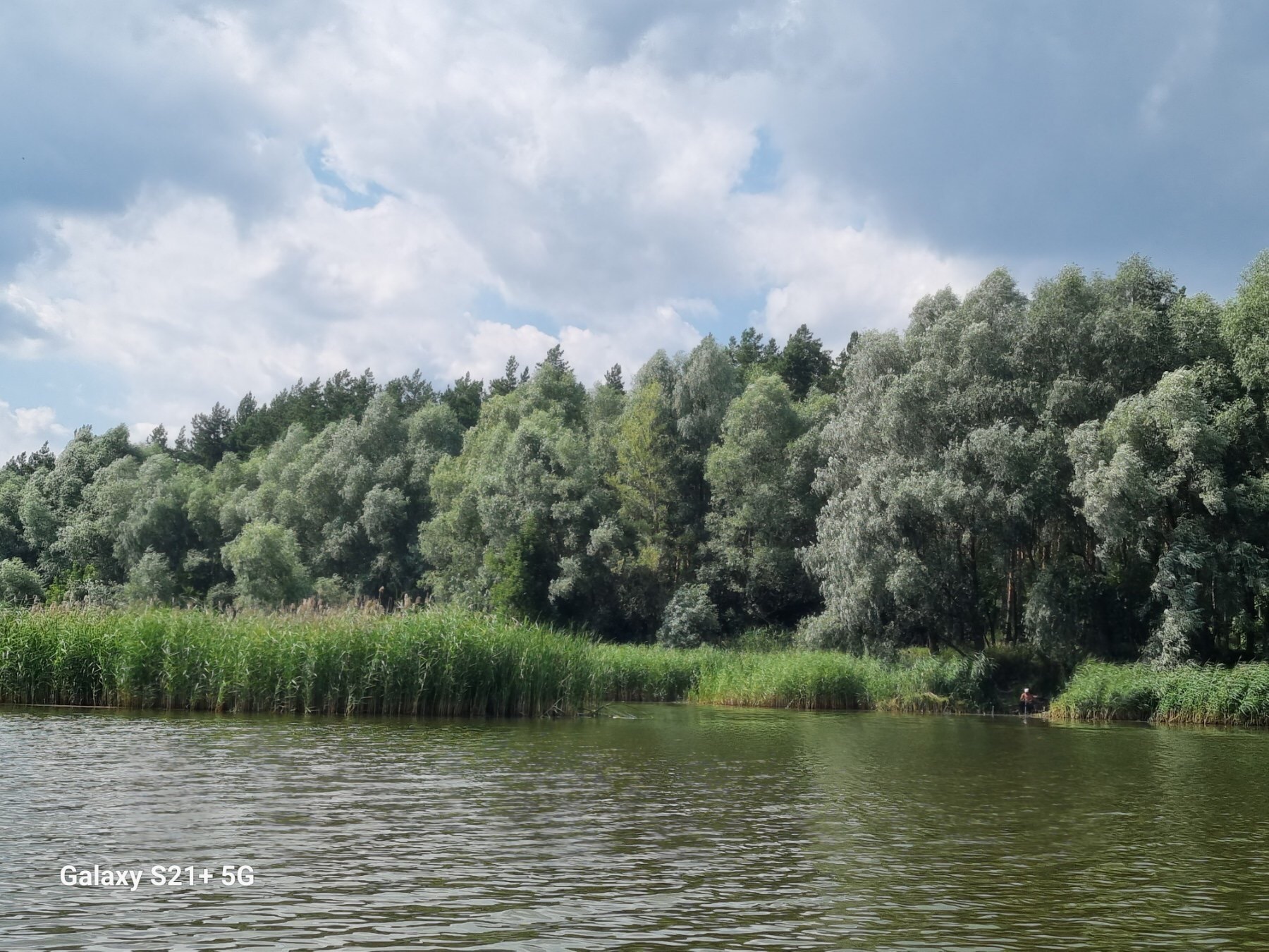 Продаж ділянки під індивідуальне житлове будівництво 25 соток