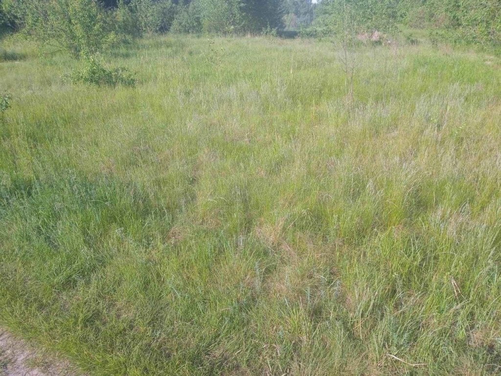 Продажа участка для строительства производства 150 соток