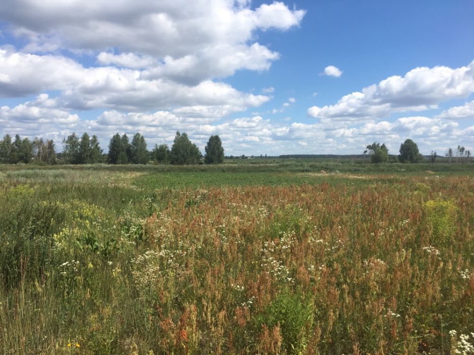 Продаж ділянки під індивідуальне житлове будівництво 200 соток