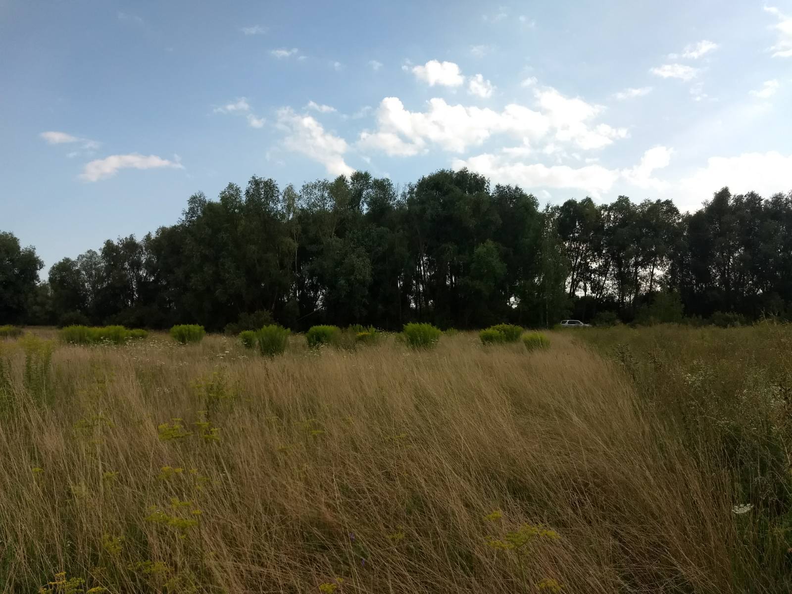 Продажа участка под индивидуальное жилое строительство 17.5 соток