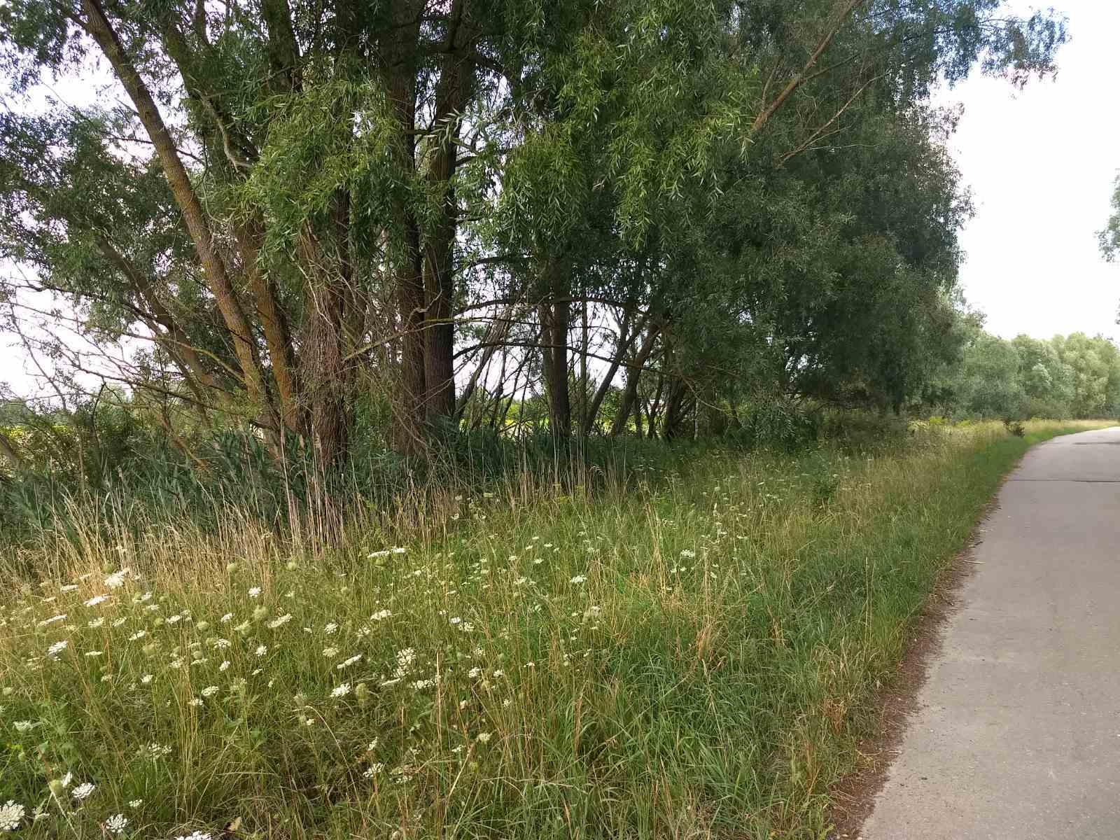 Продажа участка под индивидуальное жилое строительство 17.5 соток