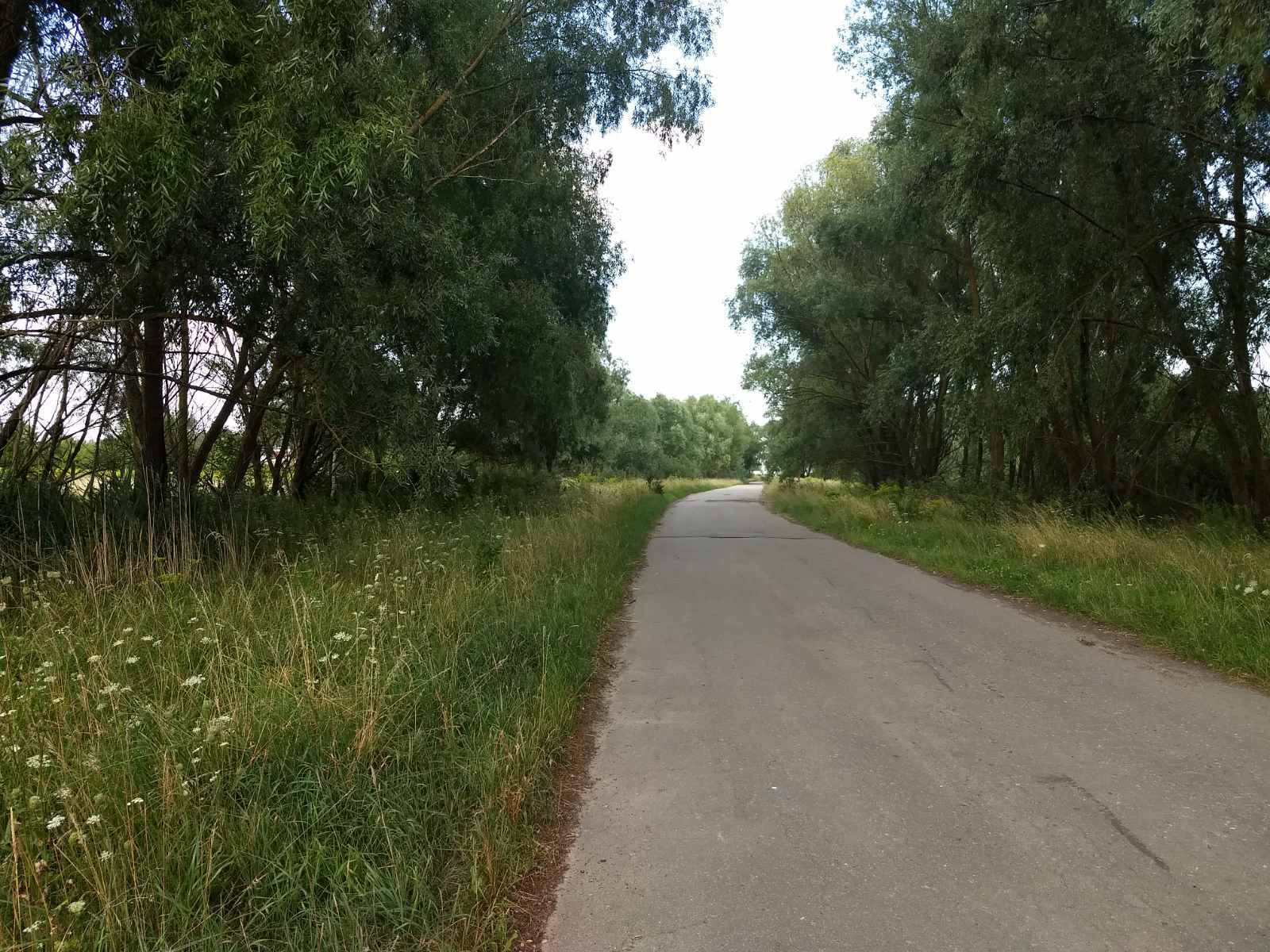 Продажа участка под индивидуальное жилое строительство 17.5 соток