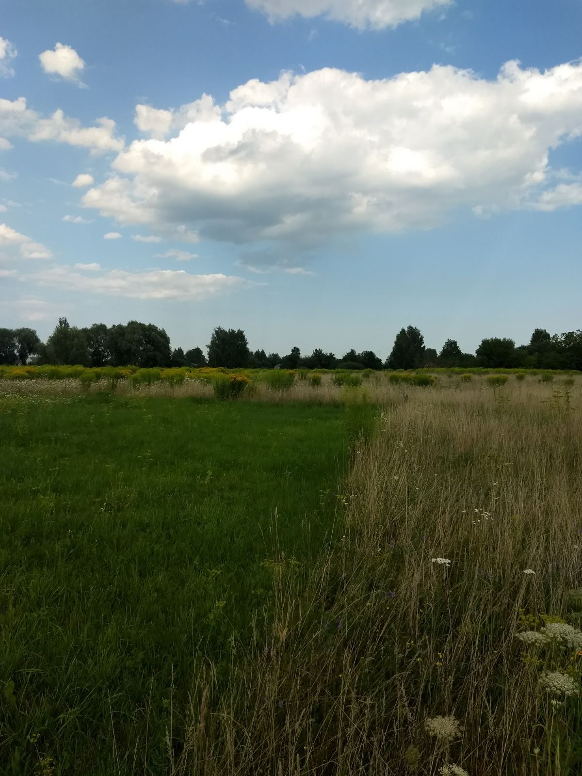 Продажа участка под индивидуальное жилое строительство 17.5 соток