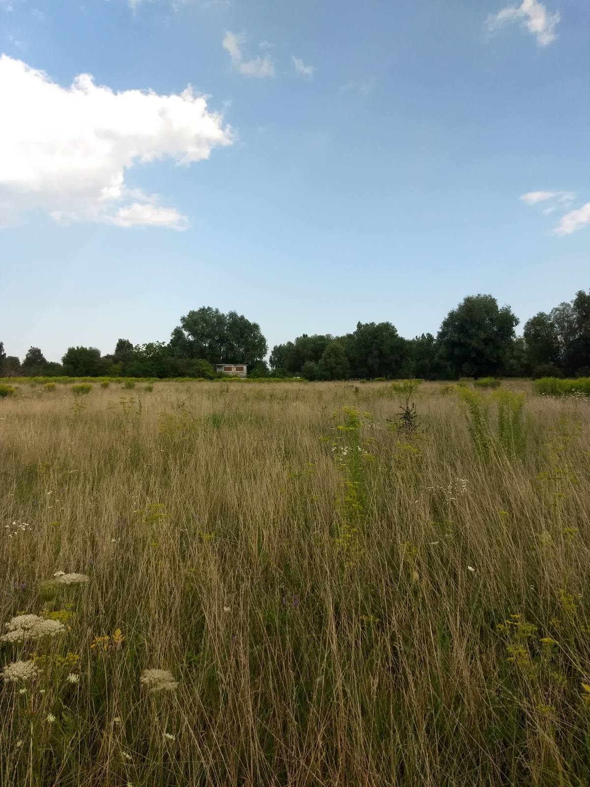 Продажа участка под индивидуальное жилое строительство 17.5 соток