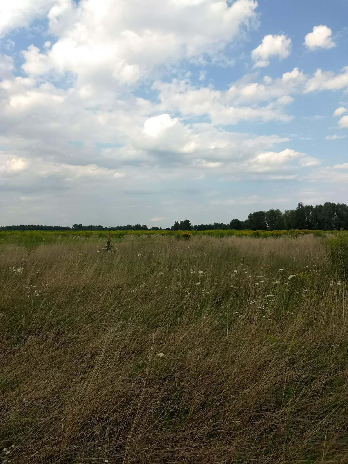 Продажа участка под индивидуальное жилое строительство 17.5 соток