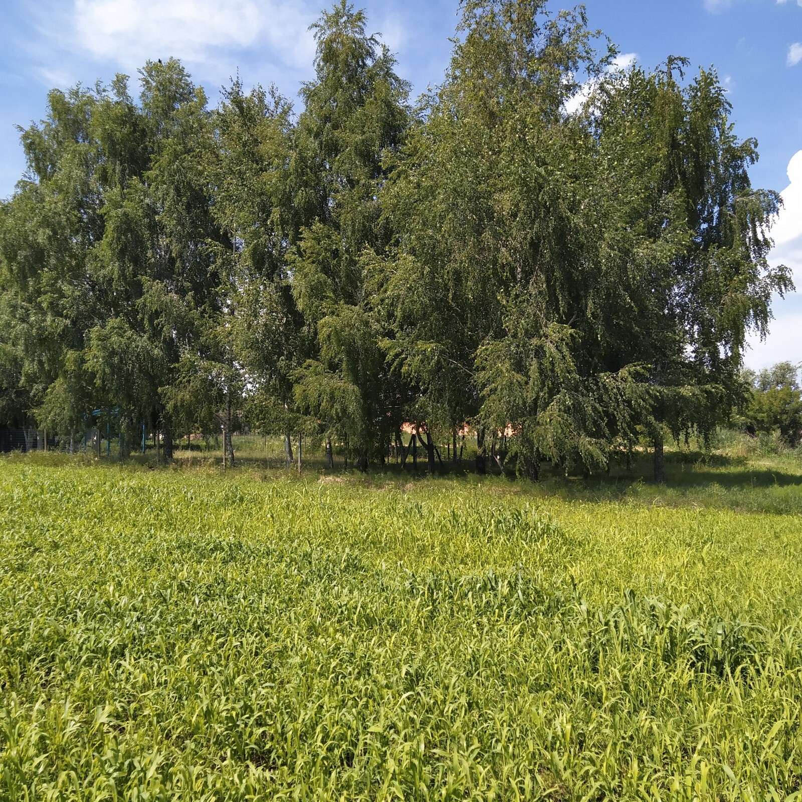 Продаж будинку 76 м², вул.Озерна