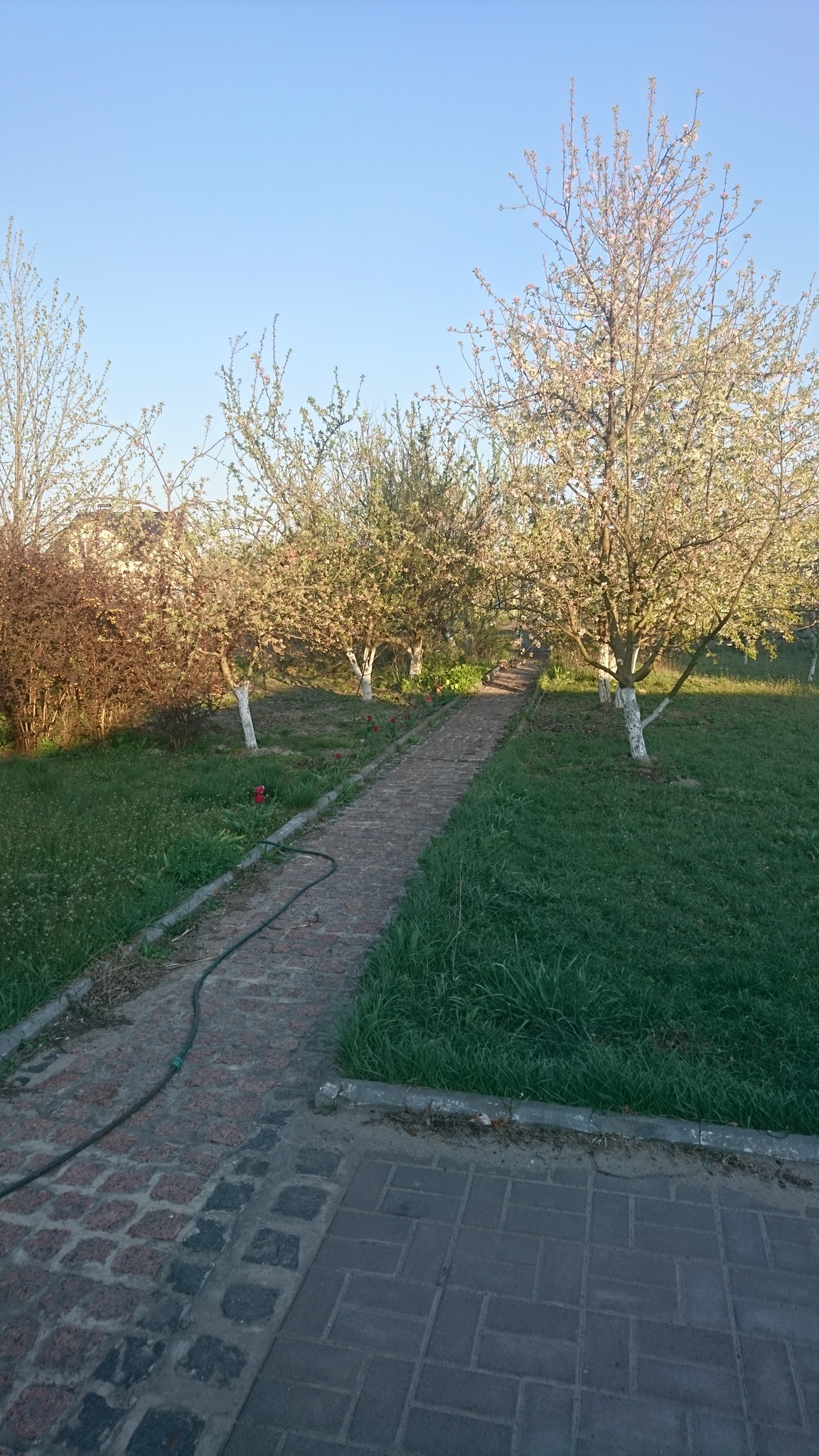 Аренда дома 250 м²