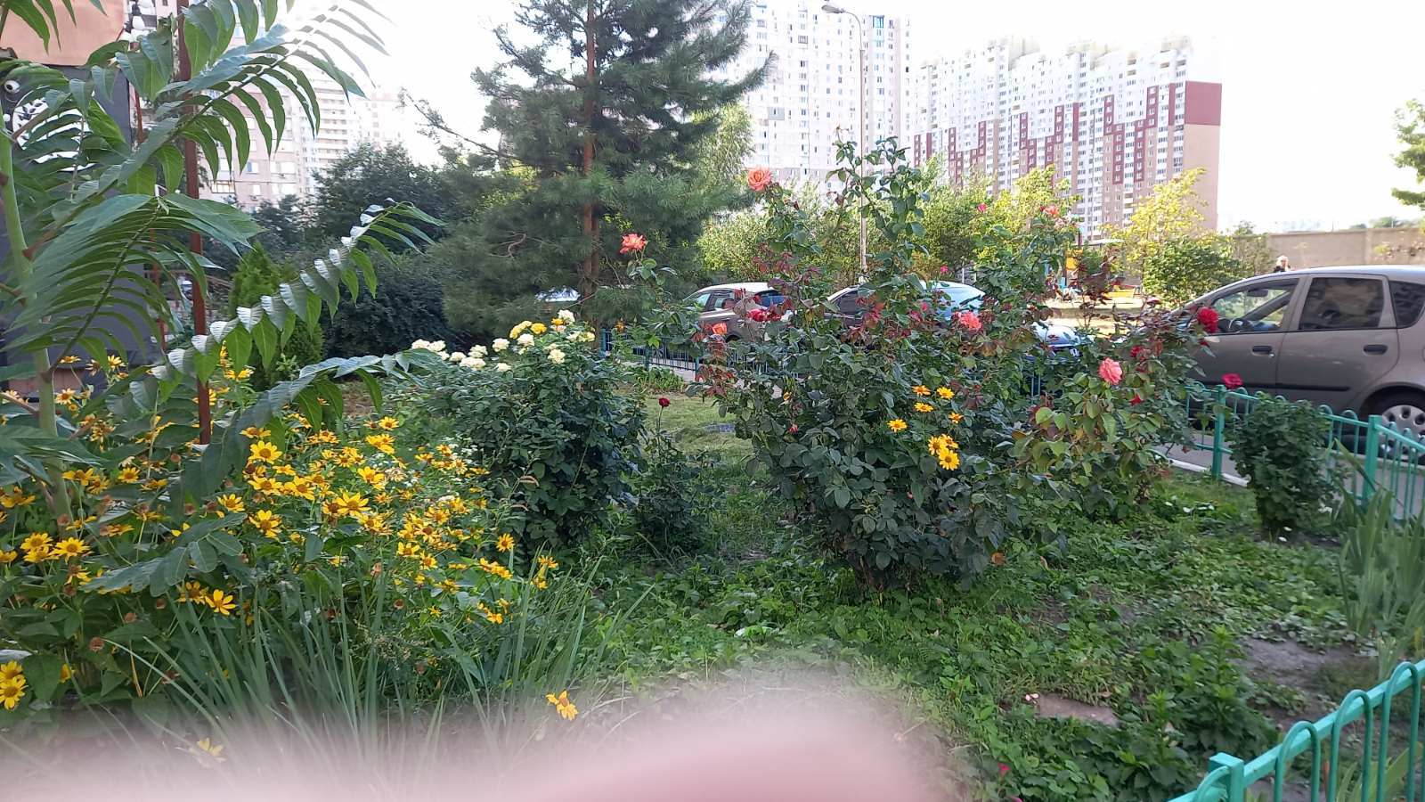 Оренда 2-кімнатної квартири 70 м², Олени Пчілки вул., 4
