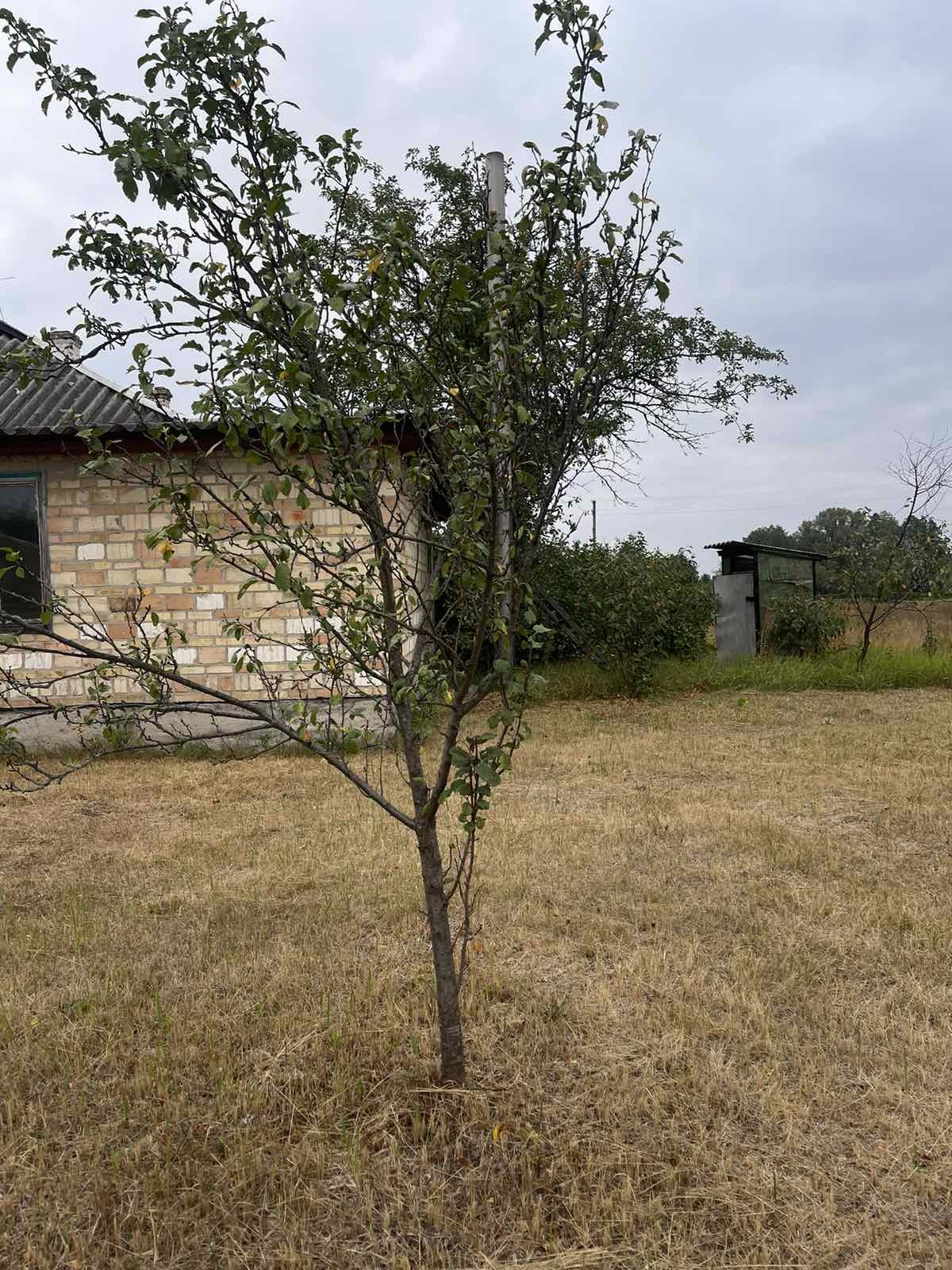 Продажа дома 125 м²