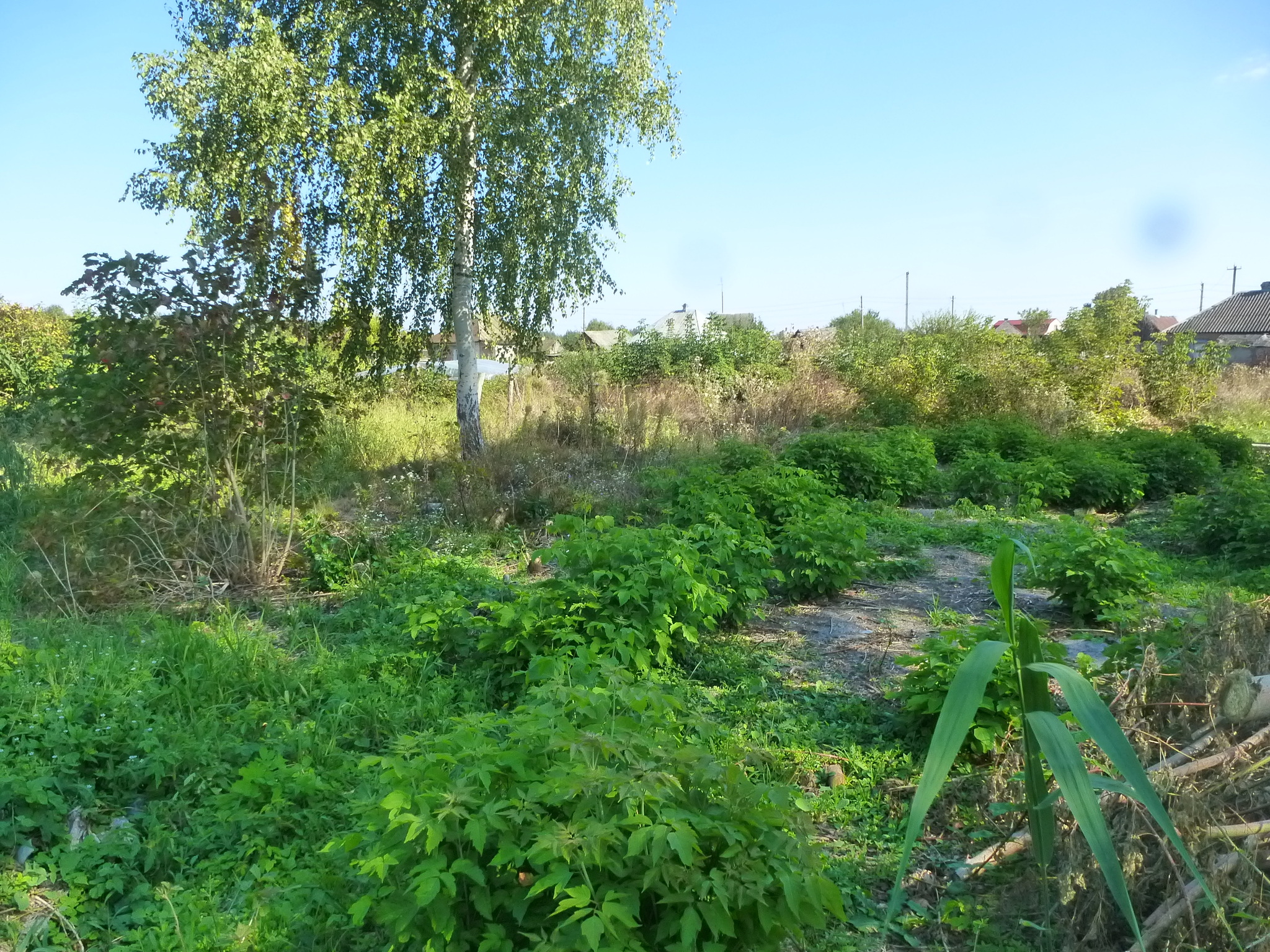 Продаж будинку 40 м²