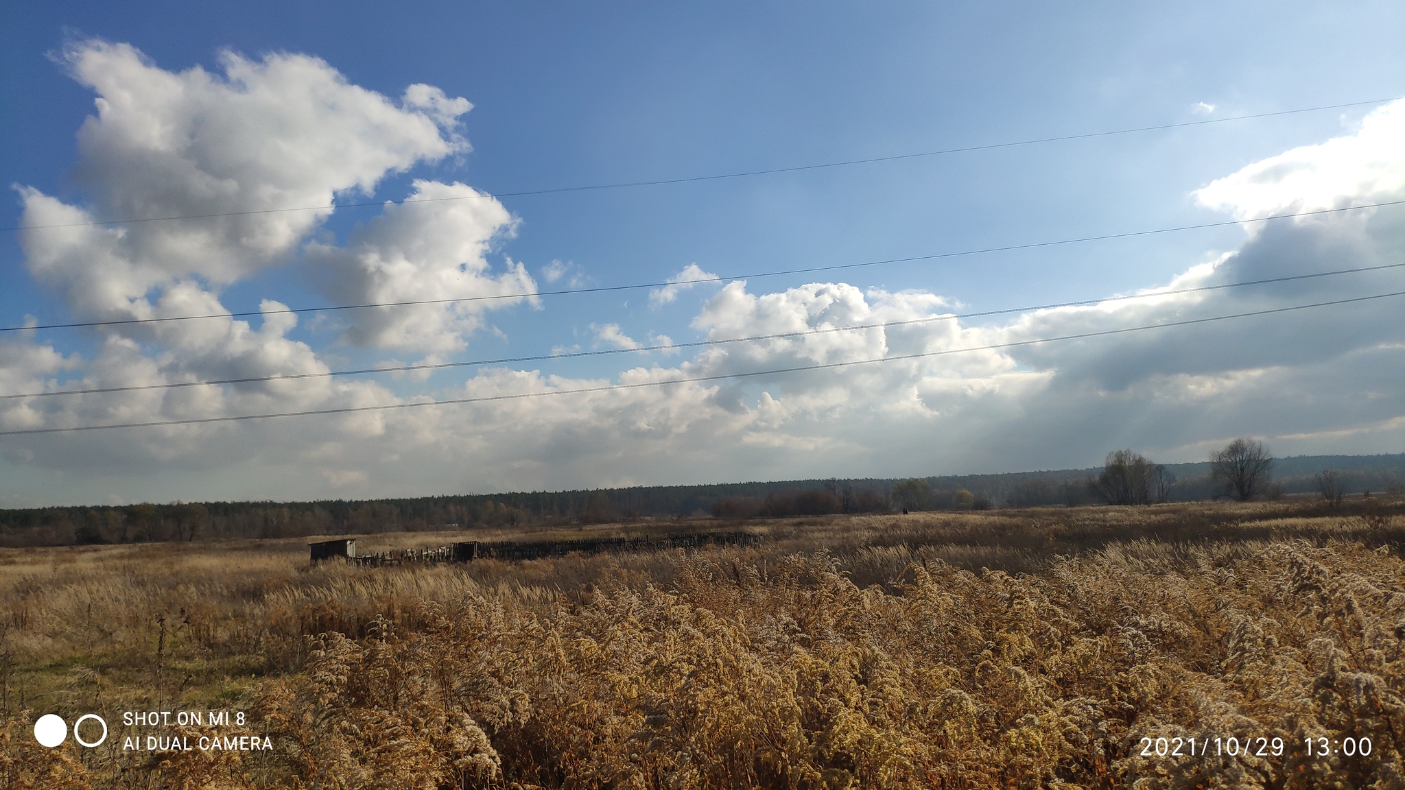 Продаж ділянки під індивідуальне житлове будівництво 12 соток, Лугова вул.