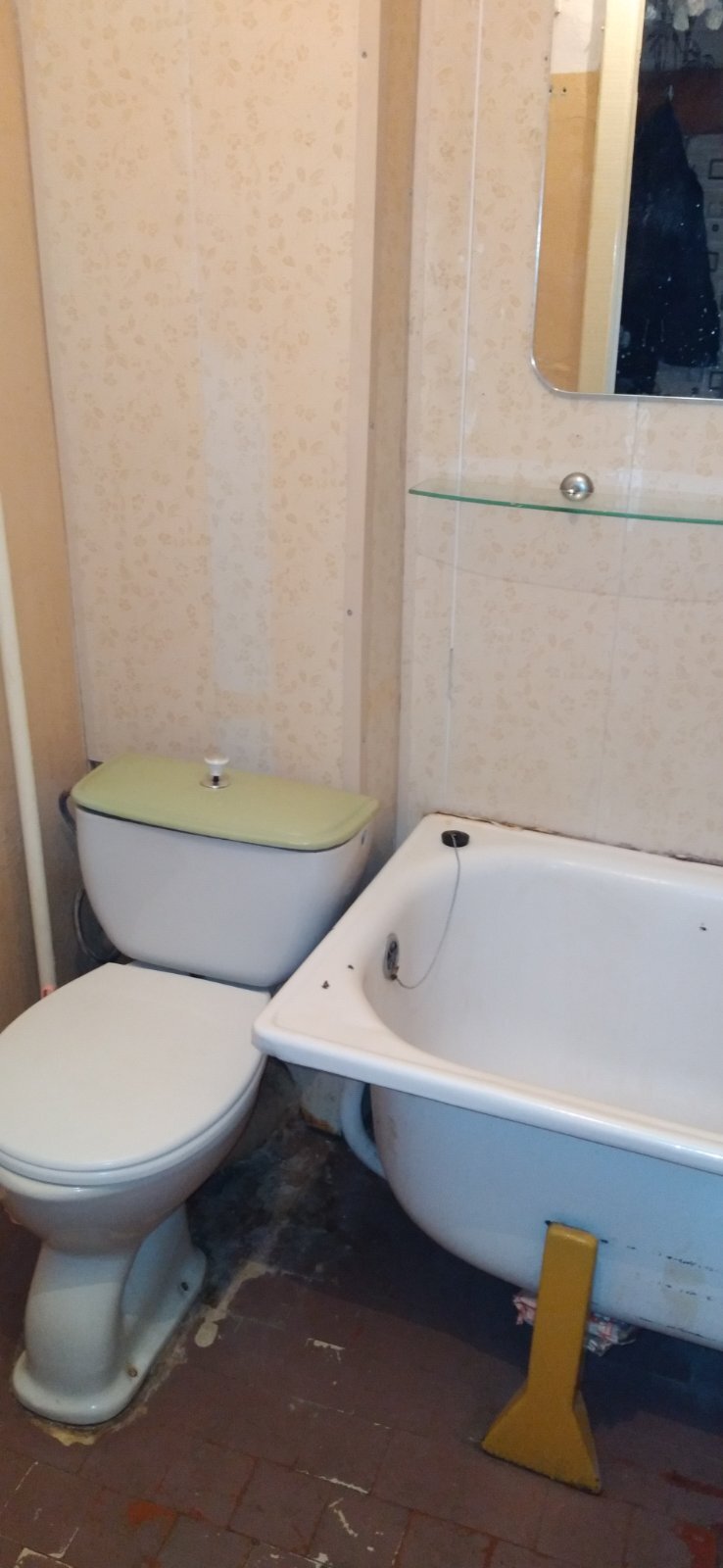 Аренда 1-комнатной квартиры 27 м², Космонавта Волкова ул., 14