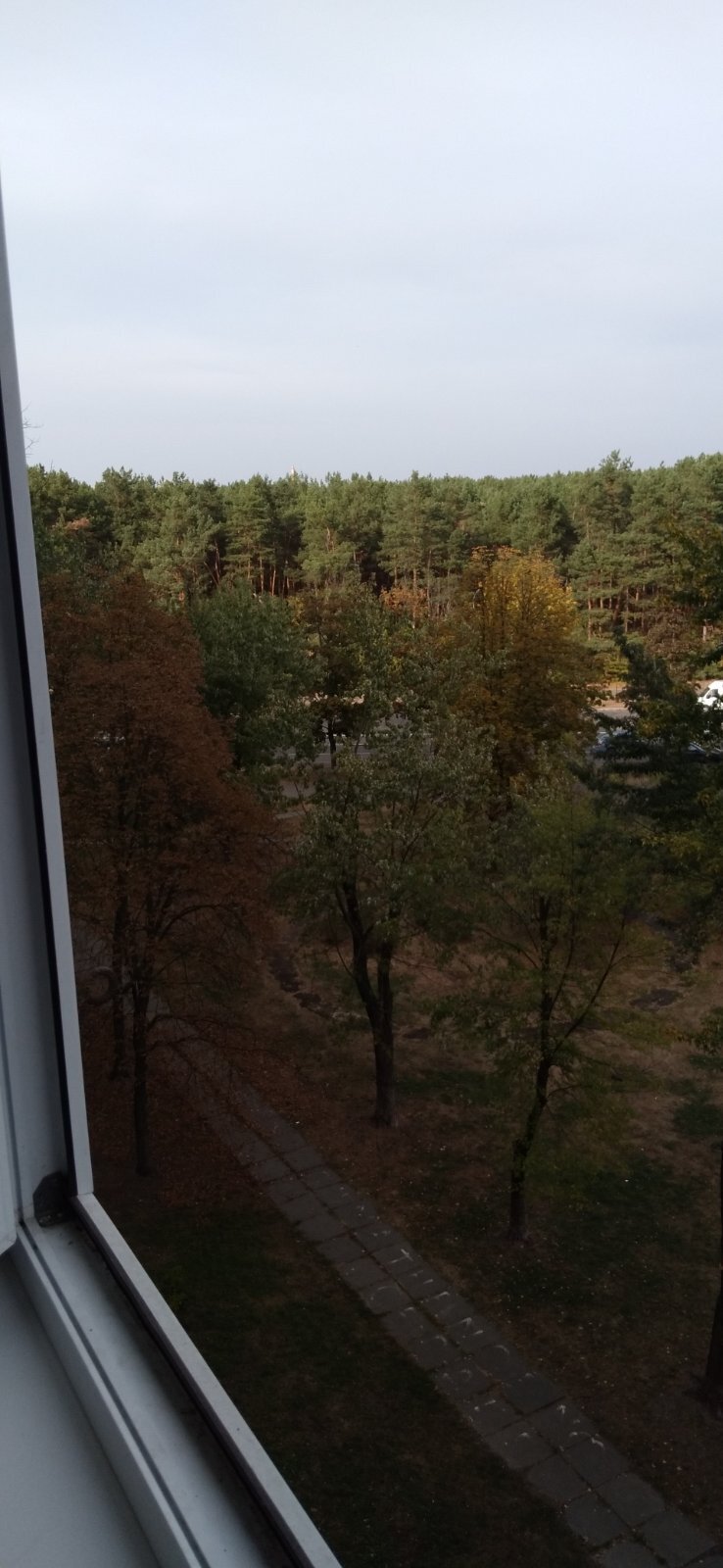 Аренда 1-комнатной квартиры 27 м², Космонавта Волкова ул., 14