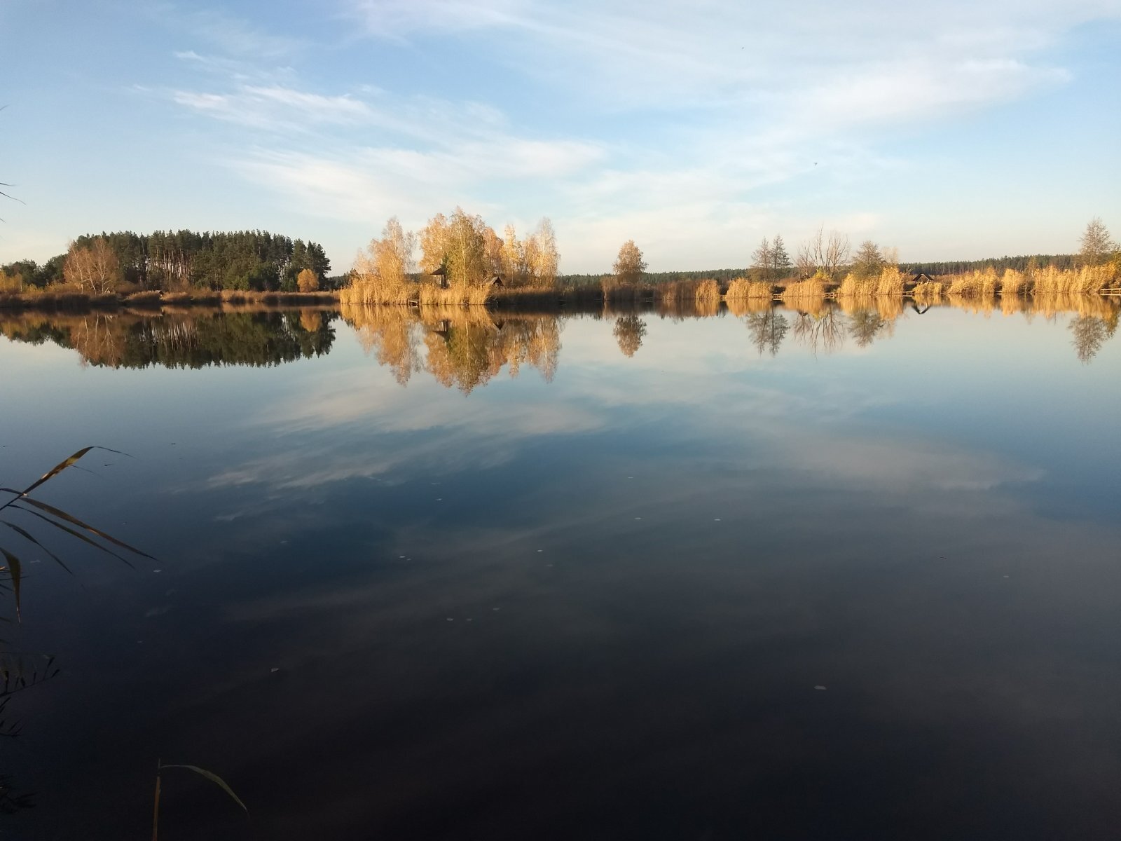 Продаж дачної ділянки 12 соток