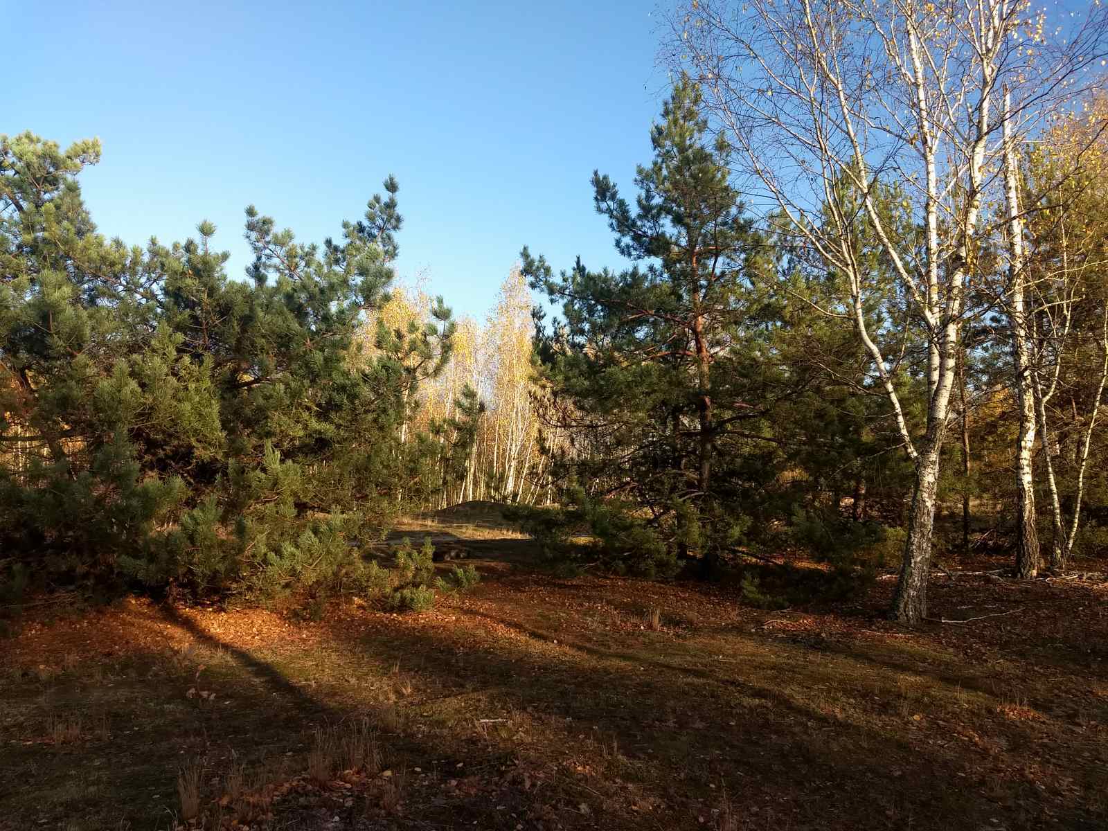 Продаж дачної ділянки 12 соток